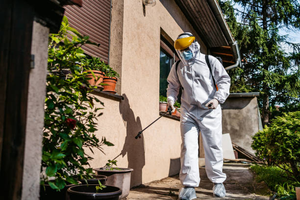 Best Wasp Removal Services  in Jeanerette, LA