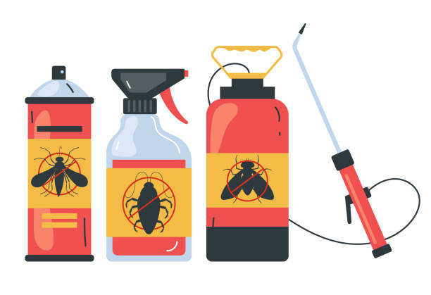 Best Ant Control Services  in Jeanerette, LA