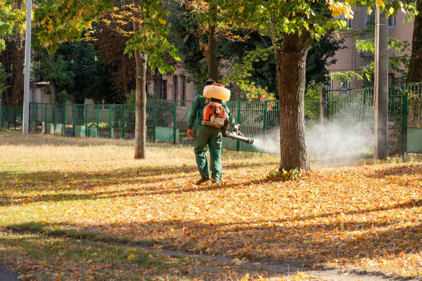 Wildlife Control Services in Jeanerette, LA